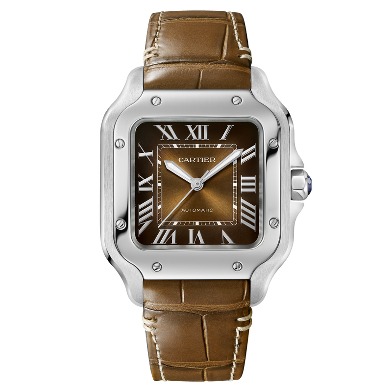 Cartier WSSA0065 Santos de Cartier Brown Dial Medium Model Watch on Leather Strap